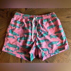 Mens Chubbies Swim Trunks